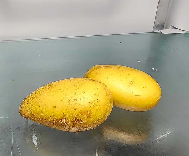 Batatas na geladeira