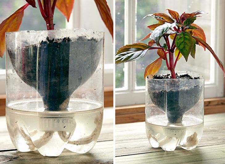 DIY : Fabriquez un pot à réserve d'eau en béton pour vos plantes d'intérieur