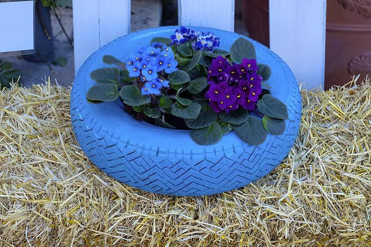 flowerpot in blue