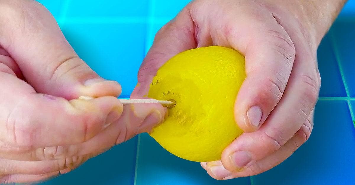 Pourquoi est-il astucieux de percer un citron avec un cure-dent avant de le mettre au frigo final