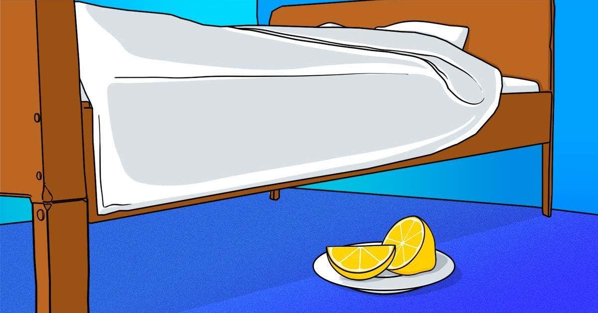 Pourquoi est-il conseillé d'avoir un citron dans la chambre à coucher final