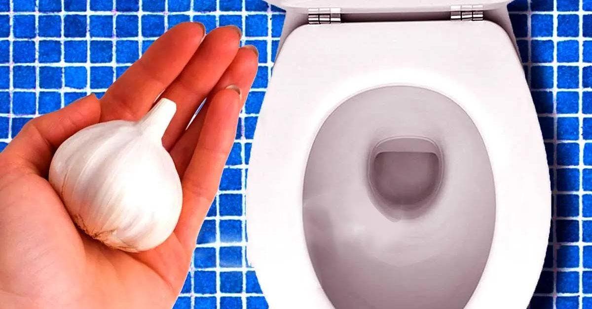 Pourquoi est-il important de jeter une gousse d’ail dans les toilettes avant d’aller dormir