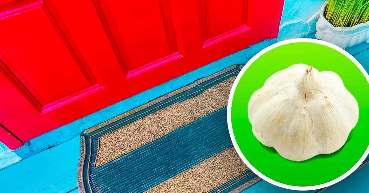 Pourquoi est-il important de laisser une gousse d’ail devant la porte de votre maison en septembre