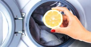 Pourquoi est-il important de mettre un citron dans la machine à laver
