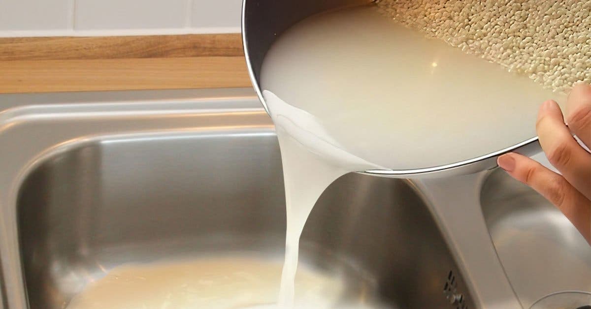 Pourquoi est-il important de ne pas verser l’eau de cuisson du riz dans l’évier