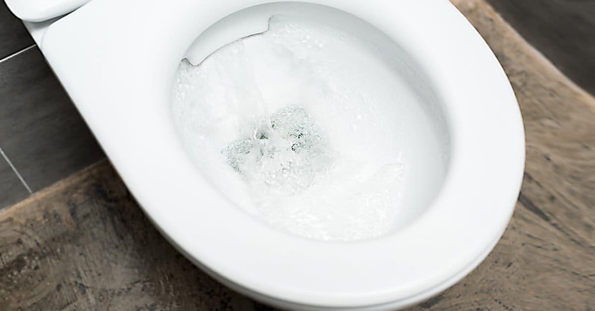 Pourquoi est-il indispensable de baisser le couvercle des toilettes avant de tirer la chasse d’eau ?