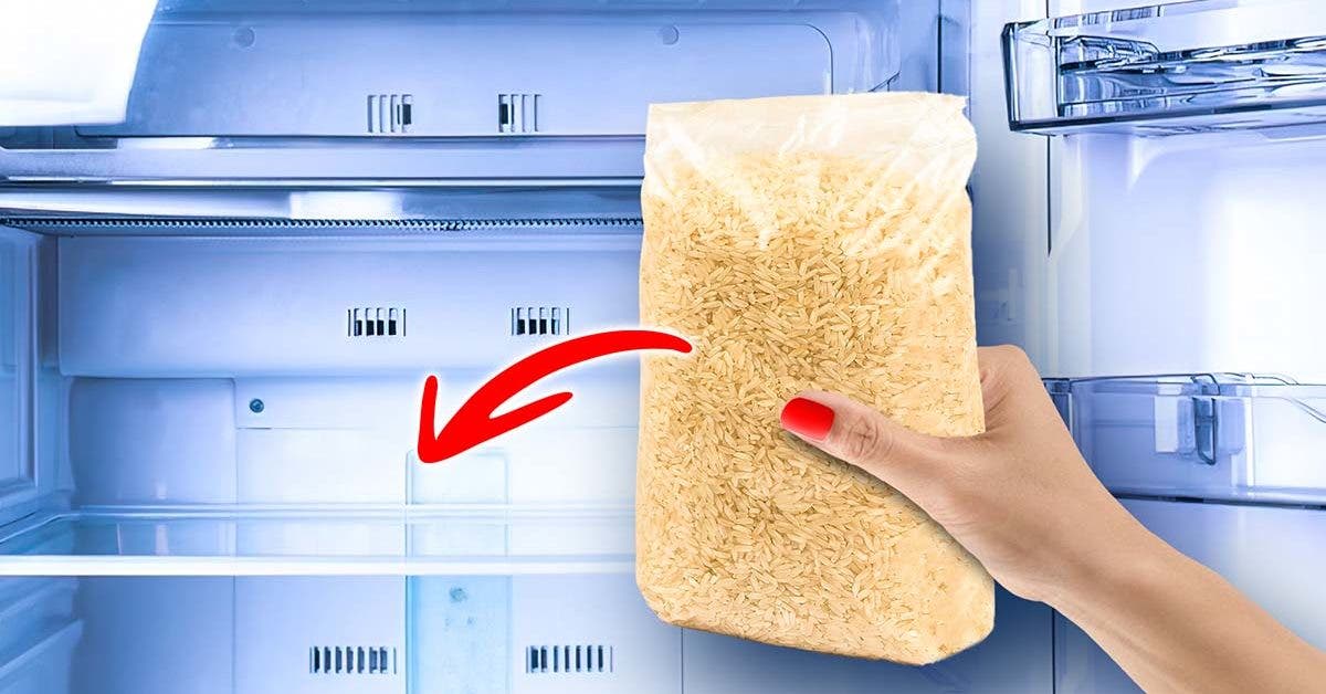 Pourquoi est-il nécessaire de mettre le riz au réfrigérateur ? Cela règle un problème que nous avons tous