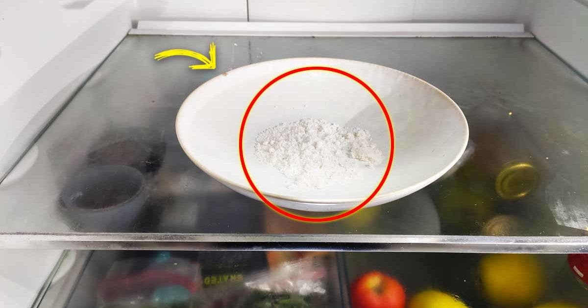Pourquoi faut-il avoir une assiette avec du bicarbonate de soude dans votre refrigerateur __