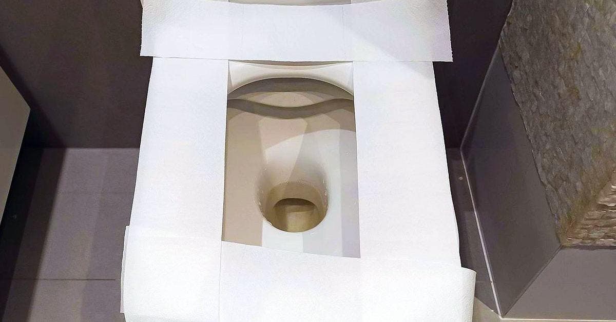 Pourquoi faut-il éviter de mettre du papier toilette sur la cuvette des WC Site