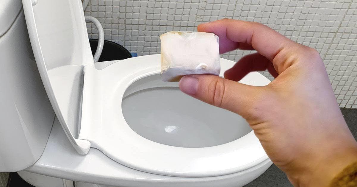 Pourquoi faut-il jeter un cube de levure de bière dans les toilettes