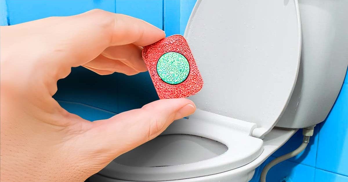Pourquoi faut-il jeter une tablette pour lave-vaisselle dans les WC une fois par mois final