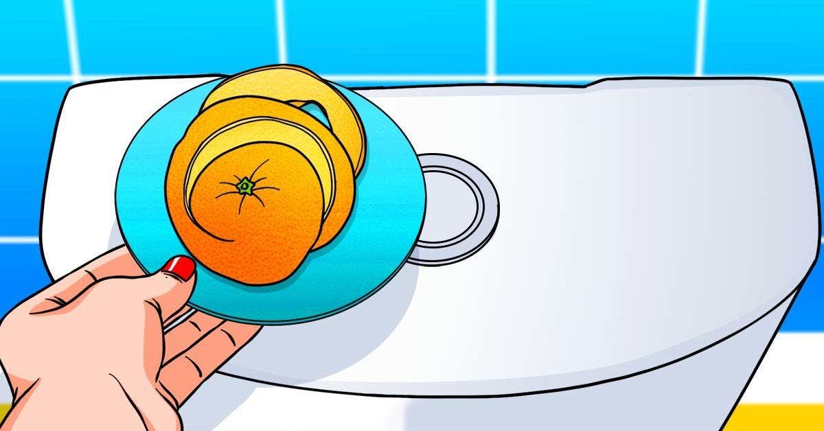 Pourquoi faut-il laisser des pelures d’orange dans la salle de bain toute la nuit final
