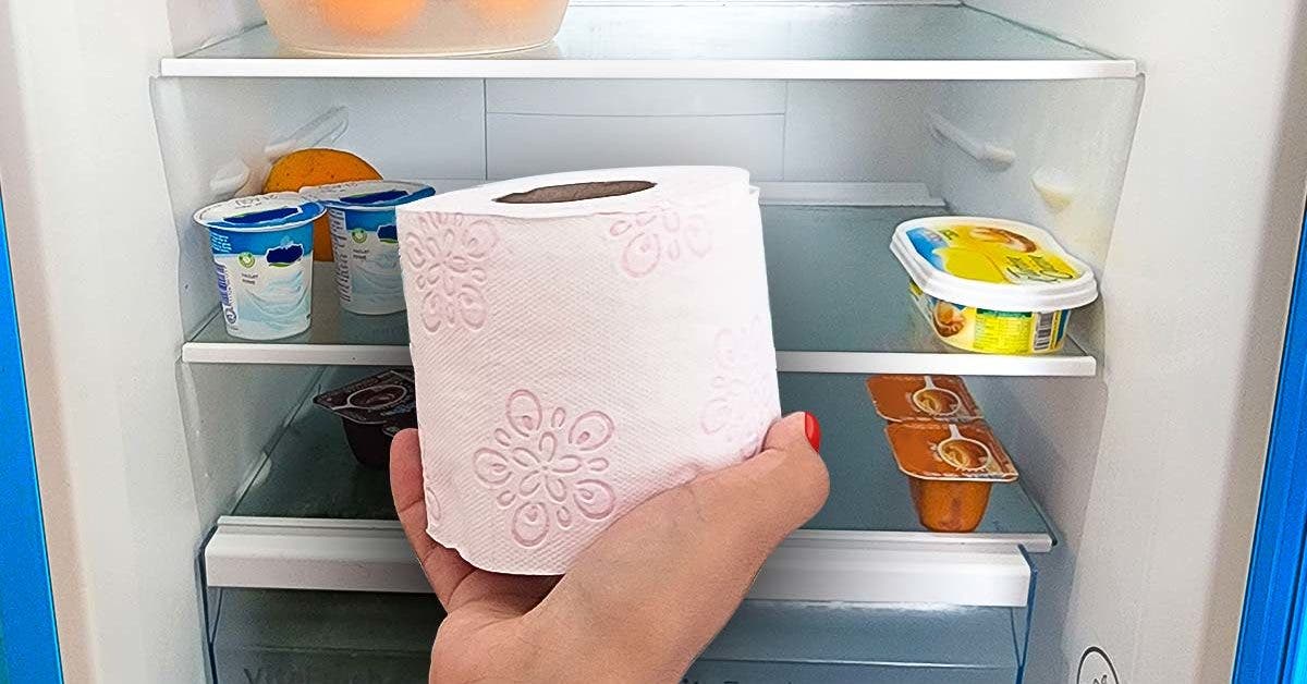 Pourquoi faut il laisser du papier toilette au refrigerateur001