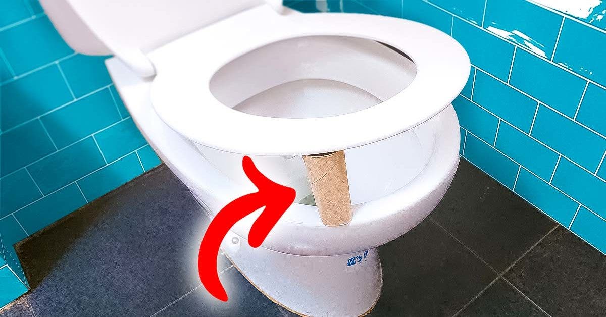 Pourquoi faut-il laisser le rouleau de papier toilettes sous le siège des WC001