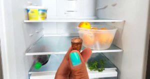 Pourquoi faut-il laisser un bouchon au frigo durant toute une nuit