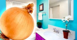 Pourquoi faut-il laisser un oignon dans la salle de bain toute la nuit