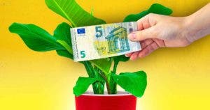 Pourquoi faut-il mettre de l’argent dans les pots de plantes ? Vous ne savez pas à quel point c’est astucieux
