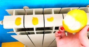 Pourquoi faut-il mettre des écorces de citron sur le radiateur final
