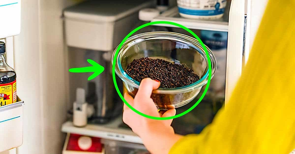 Pourquoi faut-il mettre du marc de café dans votre réfrigérateur une fois par mois