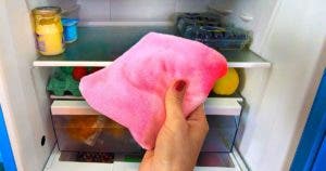 Pourquoi faut-il mettre les chiffons au réfrigérateur
