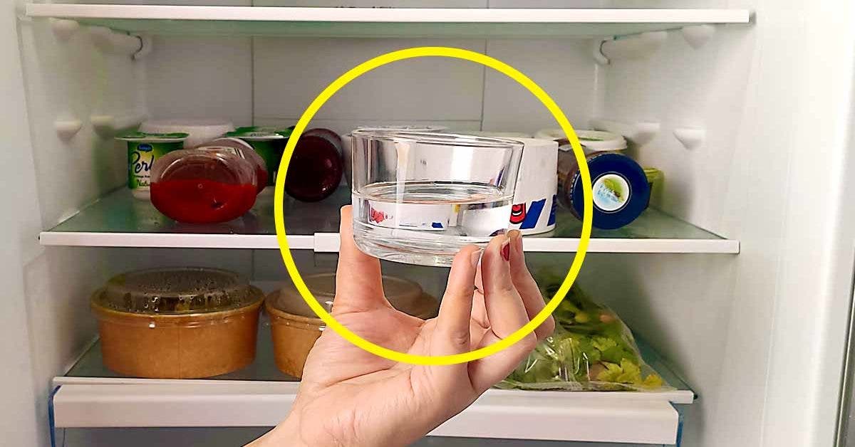 Pourquoi faut-il mettre un verre de vinaigre dans le réfrigérateur une fois par mois 02