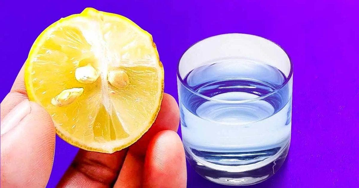 Pourquoi faut-il mettre une graine de citron dans un verre d'eau ?