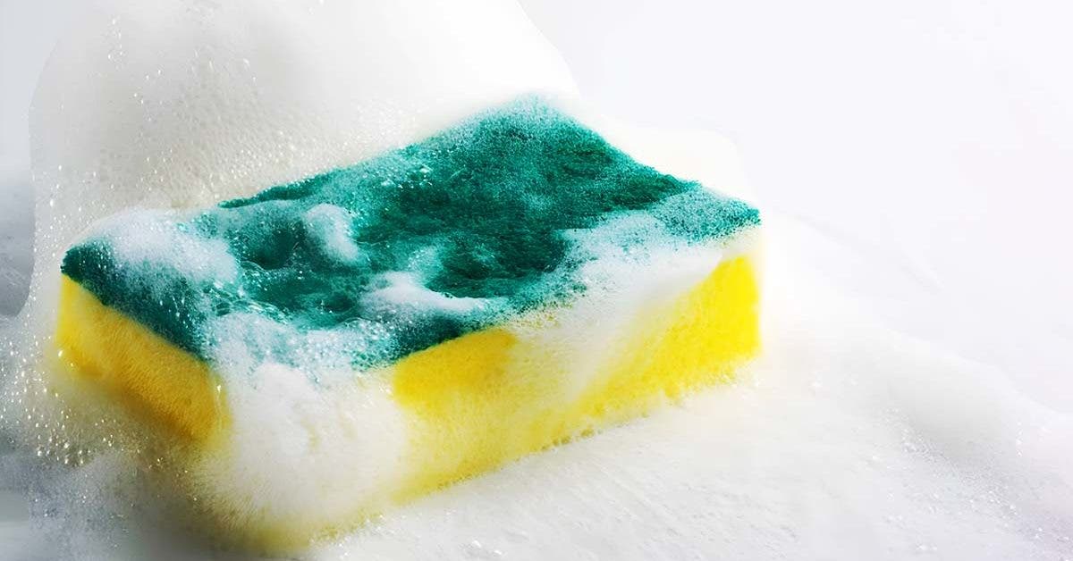 Why You Should Never Clean Dishwashing Sponges