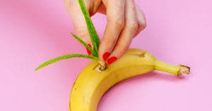 Pourquoi faut-il planter l’Aloe Vera dans une banane