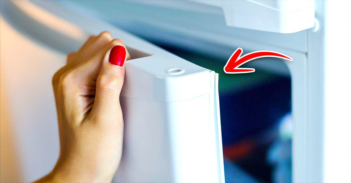 Pourquoi il ne faut pas ouvrir le réfrigérateur ou le micro-ondes lorsque vos mains sont mouillées ?