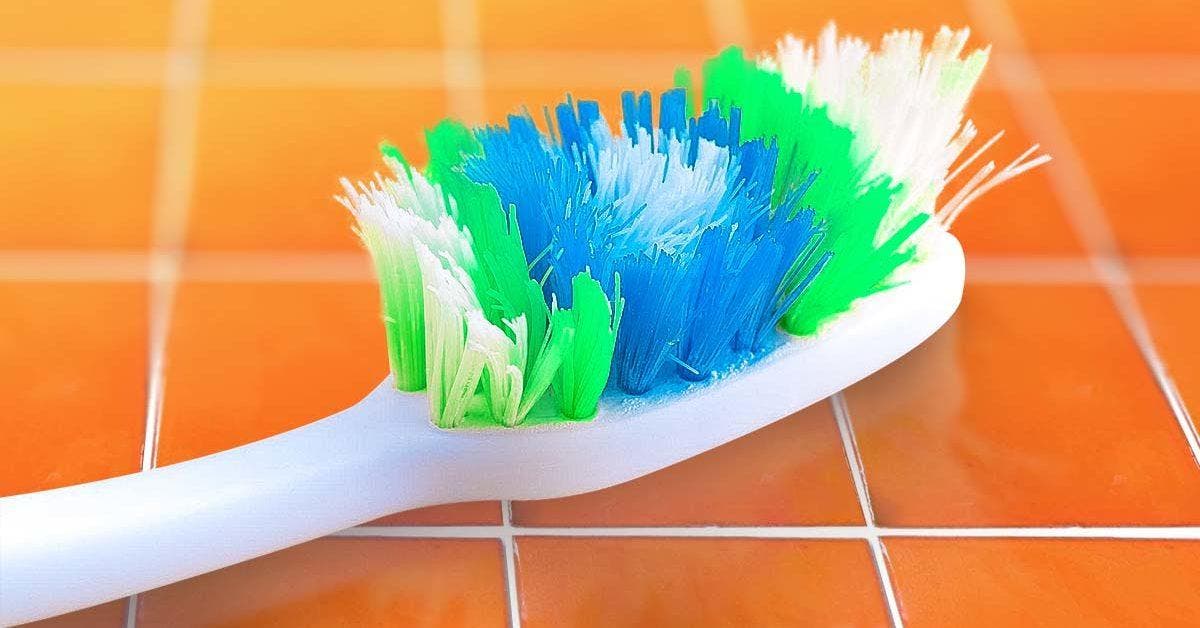 Pourquoi les brosses à dents ont-elles des poils de couleurs différentes
