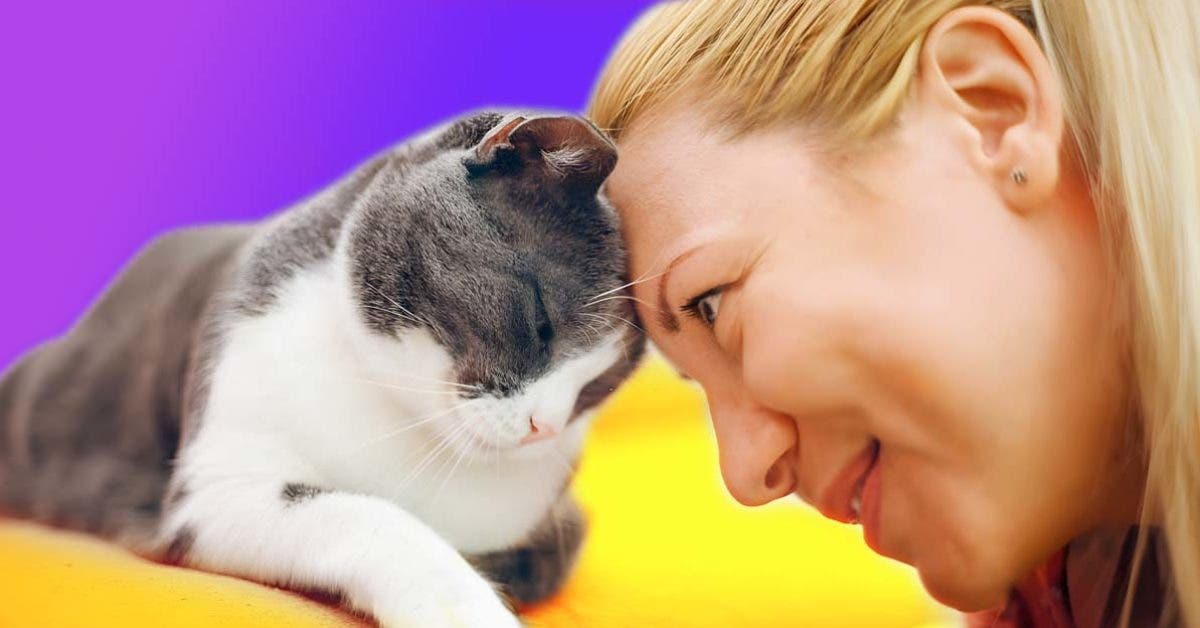 Pourquoi les chats aiment-ils les femmes plus que les hommes