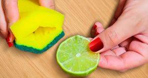 Pourquoi les ménagères futées mettent-elles du citron dans l’éponge à vaisselle final