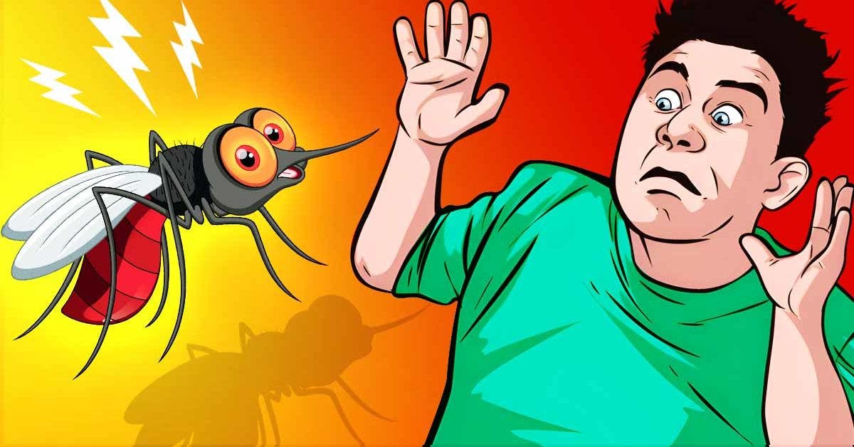 Pourquoi les moustiques piquent-ils certaines personnes et pas d’autres ?