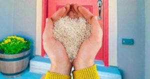 Pourquoi mettre du riz dans les coins de la maison001