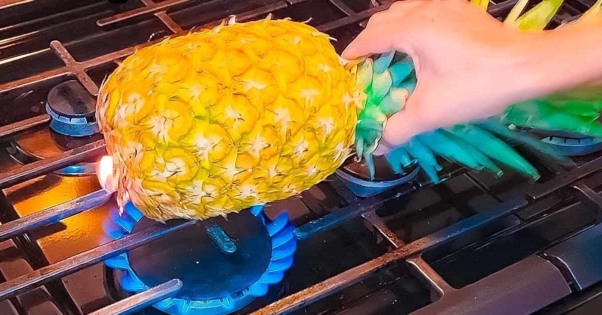 Pourquoi mettre un ananas sur la cuisinière001
