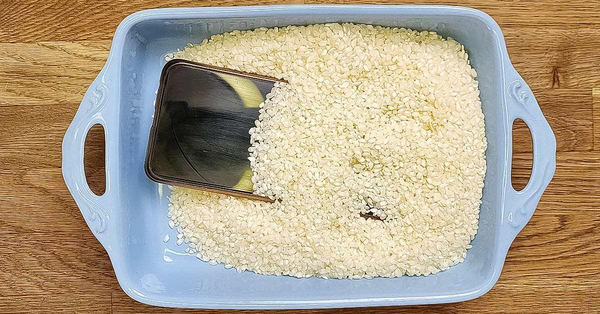 Pourquoi ne faut-il plus mettre le téléphone mouillé dans du riz Cover