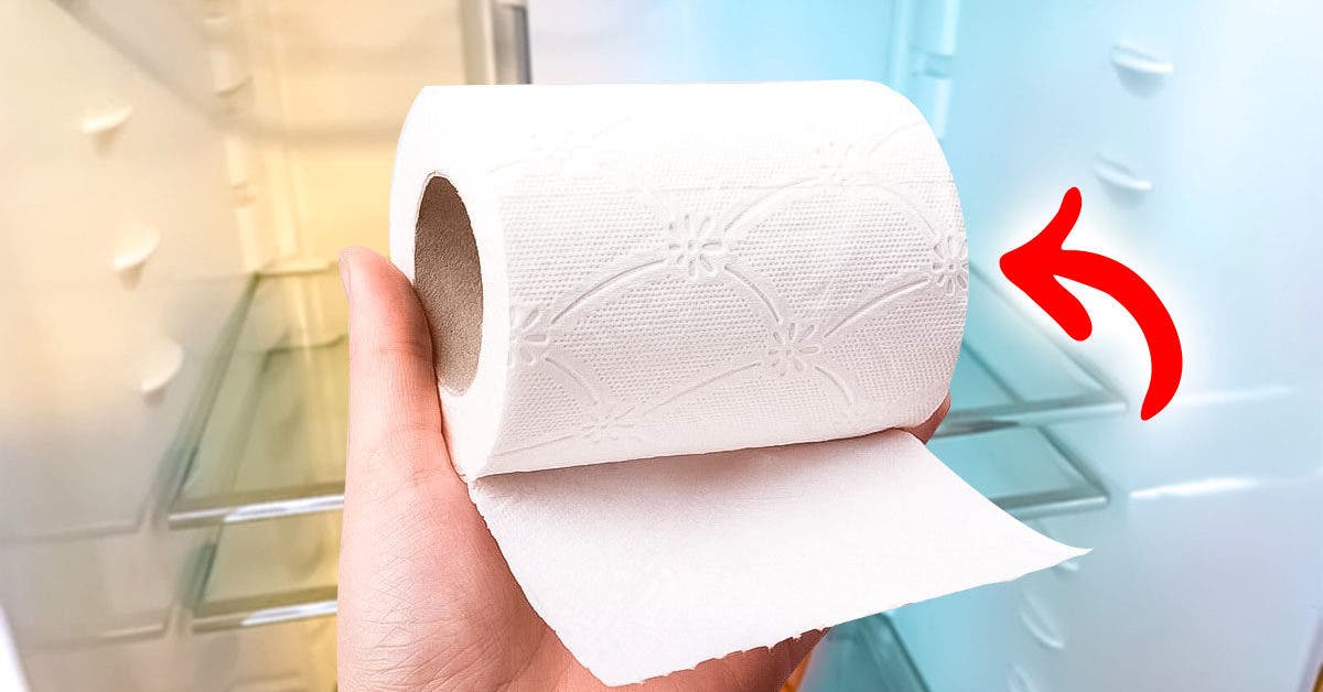 Pourquoi tout le monde met du papier toilette au réfrigérateur001