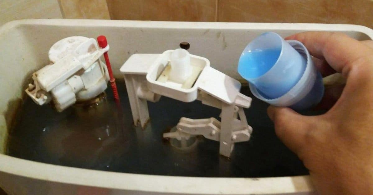 Dans Quel Bac Mettre L Assouplissant Pourquoi verser de l'assouplissant dans le réservoir des toilettes
