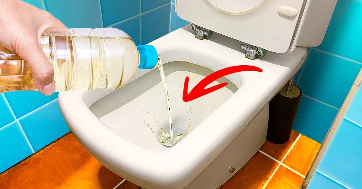 Pourquoi verser du vinaigre dans les toilettes une fois par mois