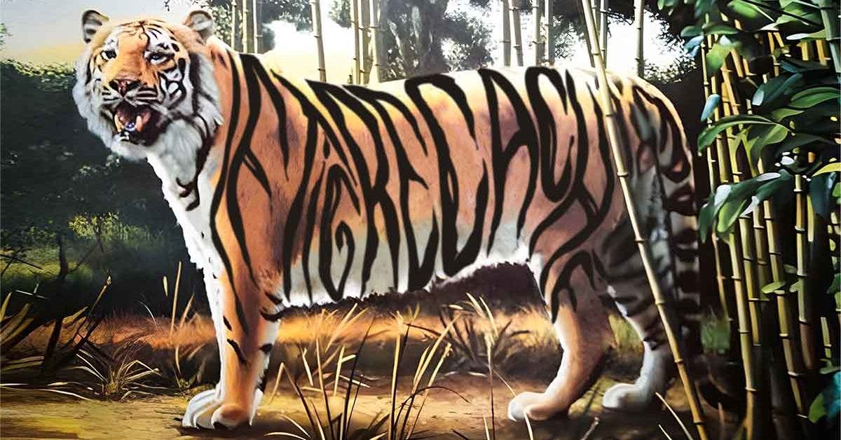 Pouvez-vous repérer le deuxième tigre dans cette illusion d'optique cover final