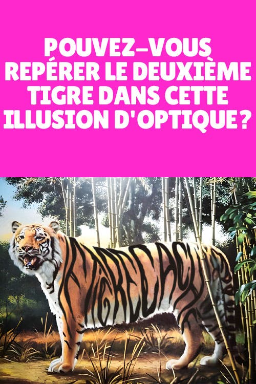 Can you see the second tiger in this optical illusion?