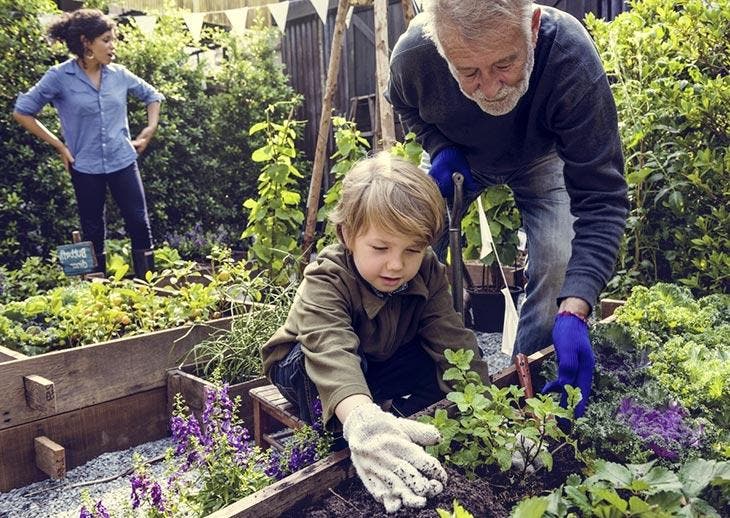 Prendre soin de son potager