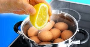 Pressez quelques gouttes de jus de citron dans l'eau dans laquelle vous faites bouillir l'œuf001