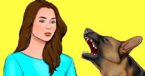 Que faire lorsqu'un chien vous attaque