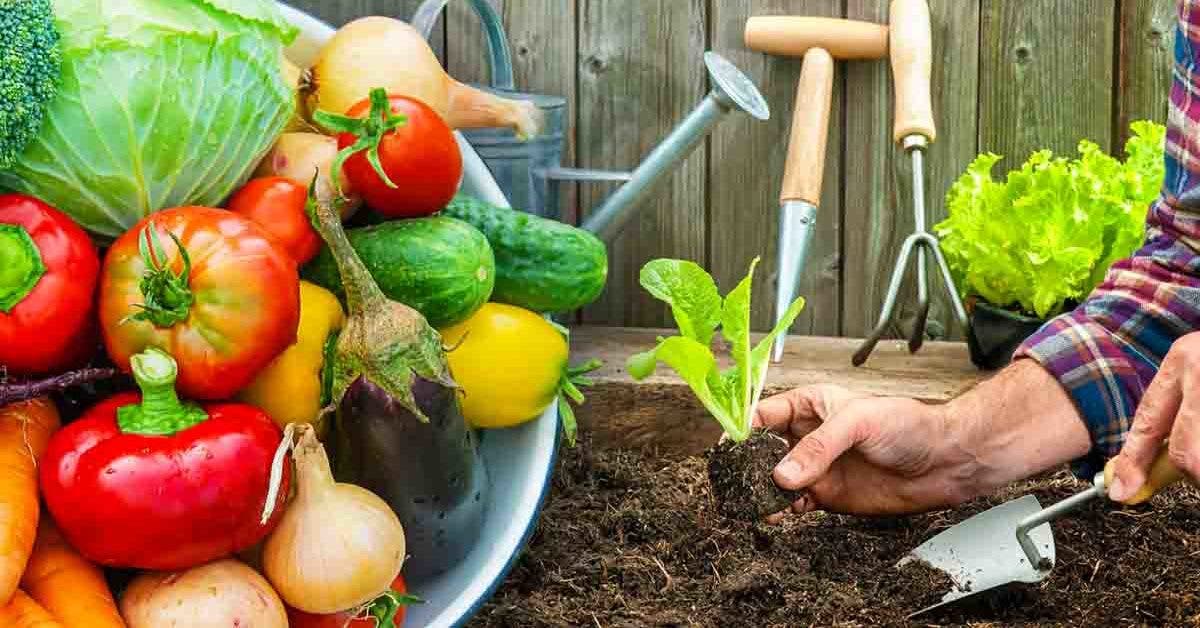 Que planter en mars ? Les meilleurs fruits, légumes et fleurs à cultiver