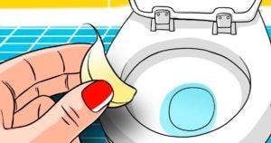 Que se passe-t-il si vous jetez une gousse d'ail dans vos toilettes ?