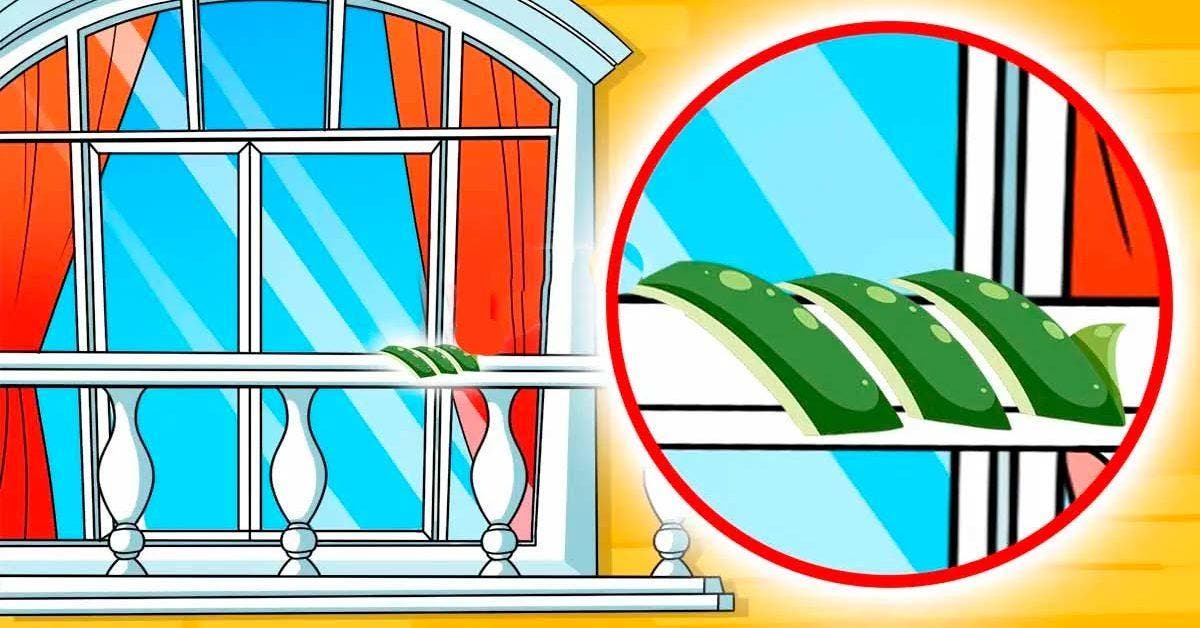 Que se passe-t-il si vous laissez des pelures de concombre sur votre balcon