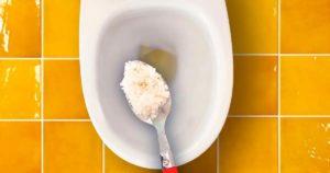 Que se passe-t-il si vous versez du sel dans les toilettes ?
