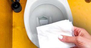 Que se passerait-il si vous mettez du papier toilette imbibé de vinaigre dans les toilettes pendant toute une nuit