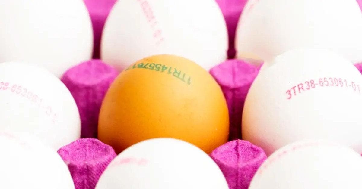 Que signifient les chiffres imprimés sur les œufs
